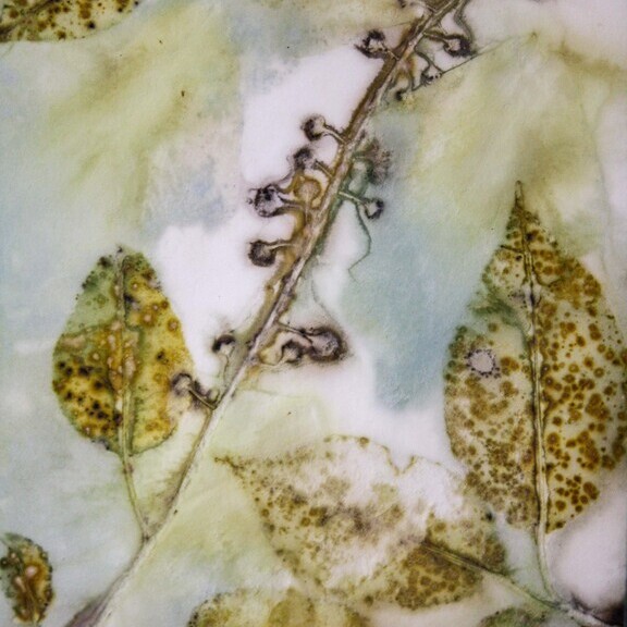Eco Printing - logo